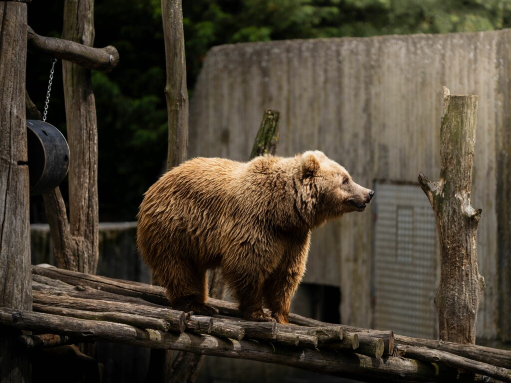 Zoo La Tanière et ses animaux